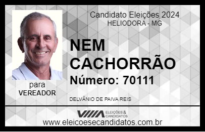 Candidato NEM CACHORRÃO 2024 - HELIODORA - Eleições