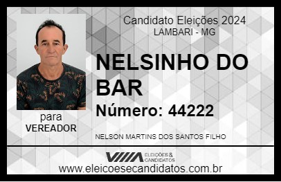 Candidato NELSINHO DO BAR 2024 - LAMBARI - Eleições