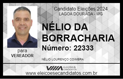 Candidato NÉLIO DA BORRACHARIA 2024 - LAGOA DOURADA - Eleições