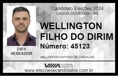 Candidato WELLINGTON FILHO DO DIRIM 2024 - LAGOA DOURADA - Eleições