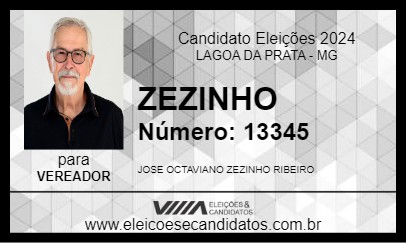 Candidato ZEZINHO 2024 - LAGOA DA PRATA - Eleições