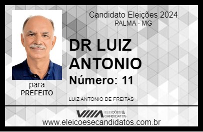 Candidato DR LUIZ 2024 - PALMA - Eleições