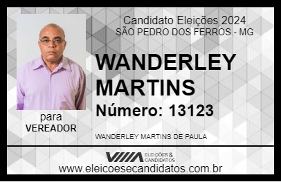 Candidato WANDERLEY MARTINS 2024 - SÃO PEDRO DOS FERROS - Eleições