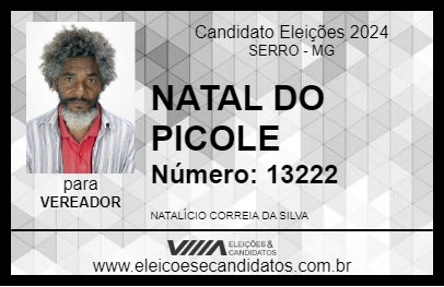 Candidato NATAL DO PICOLE 2024 - SERRO - Eleições