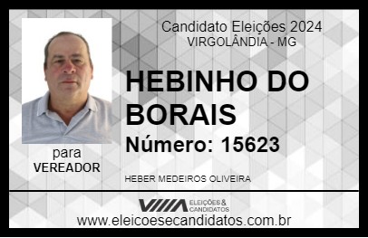 Candidato HEBINHO DO BORAIS 2024 - VIRGOLÂNDIA - Eleições