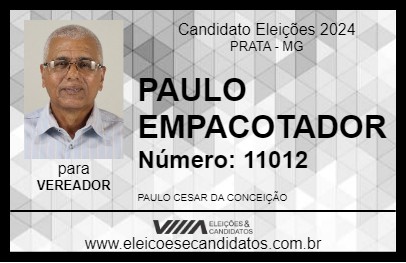 Candidato PAULO EMPACOTADOR 2024 - PRATA - Eleições