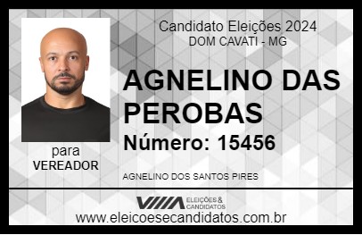 Candidato AGNELINO DAS PEROBAS 2024 - DOM CAVATI - Eleições