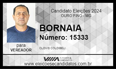 Candidato BORNAIA 2024 - OURO FINO - Eleições