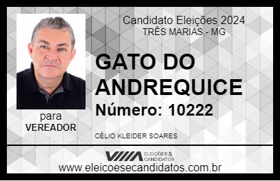 Candidato GATO DO ANDREQUICE 2024 - TRÊS MARIAS - Eleições