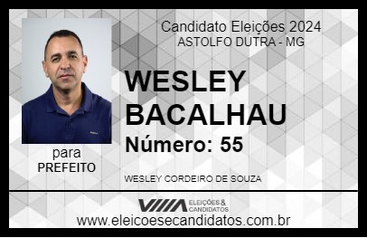 Candidato WESLEY BACALHAU 2024 - ASTOLFO DUTRA - Eleições