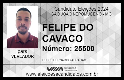 Candidato FELIPE DO CAVACO 2024 - SÃO JOÃO NEPOMUCENO - Eleições