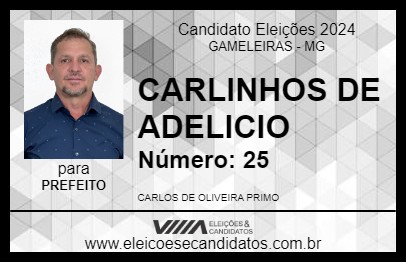 Candidato CARLINHOS DE ADELICIO 2024 - GAMELEIRAS - Eleições