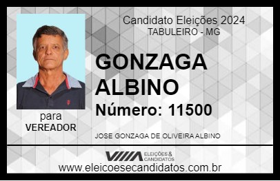 Candidato GONZAGA ALBINO 2024 - TABULEIRO - Eleições