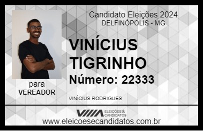 Candidato VINÍCIUS TIGRINHO 2024 - DELFINÓPOLIS - Eleições