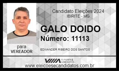 Candidato GALO DOIDO 2024 - IBIRITÉ - Eleições