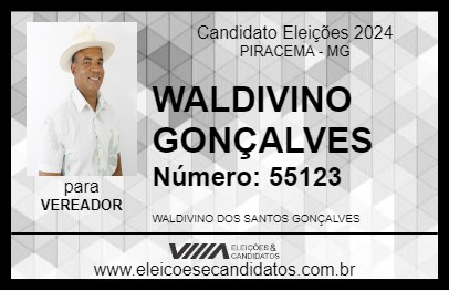 Candidato WALDIVINO GONÇALVES 2024 - PIRACEMA - Eleições