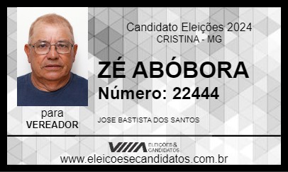 Candidato ZÉ ABÓBORA 2024 - CRISTINA - Eleições