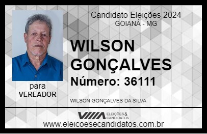 Candidato WILSON GONÇALVES 2024 - GOIANÁ - Eleições