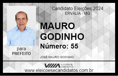 Candidato MAURO GODINHO 2024 - ERVÁLIA - Eleições