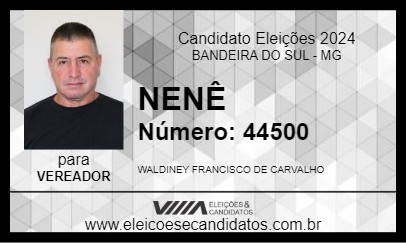 Candidato NENÊ 2024 - BANDEIRA DO SUL - Eleições