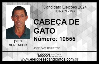 Candidato CABEÇA DE GATO 2024 - IBIRACI - Eleições