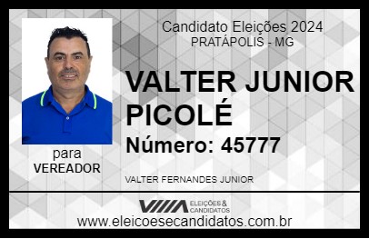 Candidato VALTER JUNIOR PICOLÉ 2024 - PRATÁPOLIS - Eleições