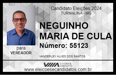 Candidato NEGUINHO MARIA DE CULA 2024 - TURMALINA - Eleições