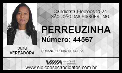 Candidato PERREUZINHA 2024 - SÃO JOÃO DAS MISSÕES - Eleições