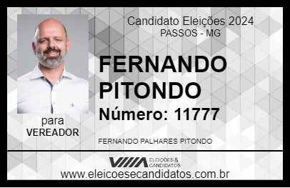 Candidato FERNANDO PITONDO 2024 - PASSOS - Eleições