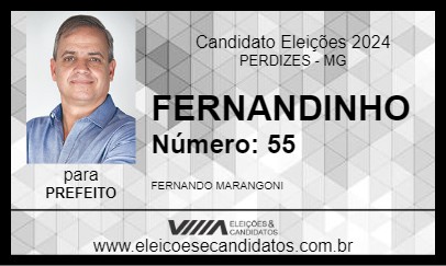 Candidato FERNANDINHO 2024 - PERDIZES - Eleições