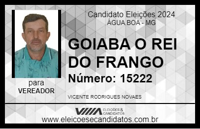 Candidato GOIABA O REI DO FRANGO 2024 - ÁGUA BOA - Eleições