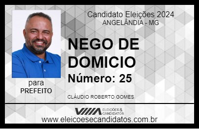 Candidato NEGO DE DOMICIO 2024 - ANGELÂNDIA - Eleições