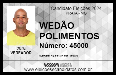 Candidato WEDÃO POLIMENTOS 2024 - PRATA - Eleições