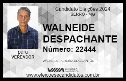 Candidato WALNEIDE DESPACHANTE 2024 - SERRO - Eleições