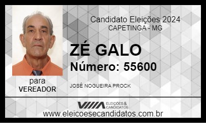 Candidato ZÉ GALO 2024 - CAPETINGA - Eleições