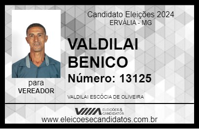 Candidato VALDILAI BENICO 2024 - ERVÁLIA - Eleições