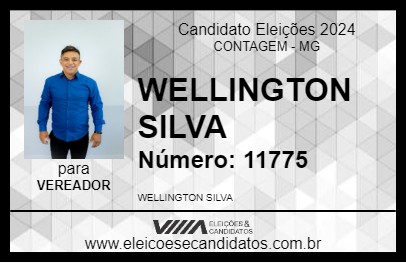 Candidato WELLINGTON SILVA 2024 - CONTAGEM - Eleições