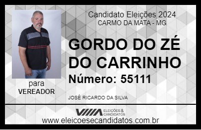 Candidato GORDO DO ZÉ DO CARRINHO 2024 - CARMO DA MATA - Eleições