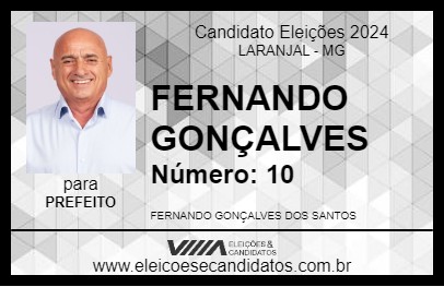 Candidato FERNANDO GONÇALVES 2024 - LARANJAL - Eleições