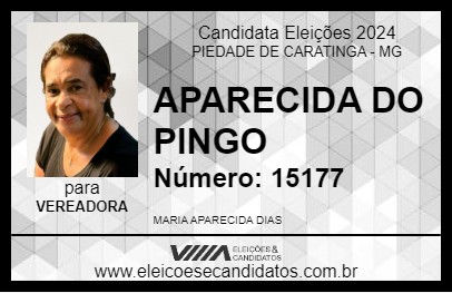 Candidato APARECIDA DO PINGO 2024 - PIEDADE DE CARATINGA - Eleições