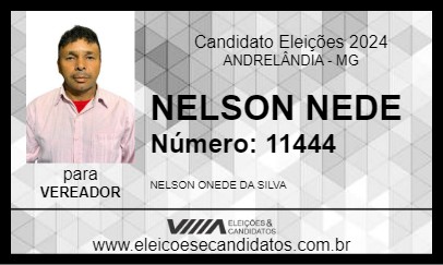 Candidato NELSON NEDE 2024 - ANDRELÂNDIA - Eleições