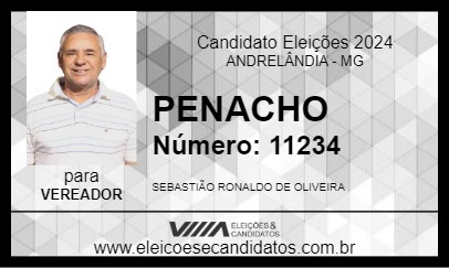 Candidato PENACHO 2024 - ANDRELÂNDIA - Eleições