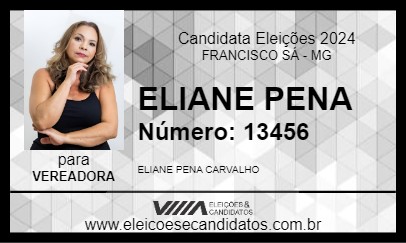 Candidato ELIANE PENA 2024 - FRANCISCO SÁ - Eleições