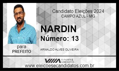 Candidato NARDIN 2024 - CAMPO AZUL - Eleições