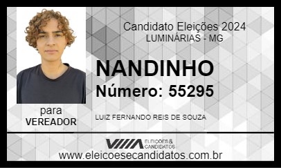 Candidato NANDINHO 2024 - LUMINÁRIAS - Eleições