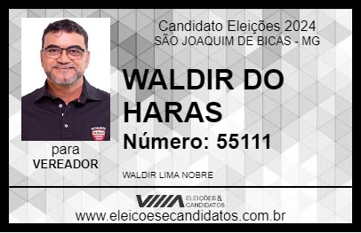 Candidato WALDIR DO HARAS 2024 - SÃO JOAQUIM DE BICAS - Eleições