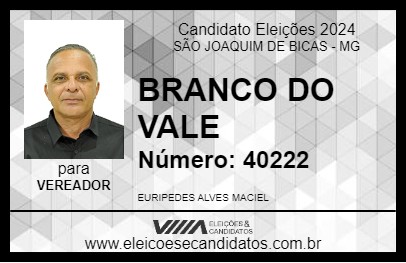 Candidato BRANCO DO VALE 2024 - SÃO JOAQUIM DE BICAS - Eleições