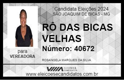 Candidato RÔ DAS BICAS VELHAS 2024 - SÃO JOAQUIM DE BICAS - Eleições