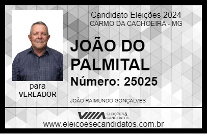 Candidato JOÃO DO PALMITAL 2024 - CARMO DA CACHOEIRA - Eleições