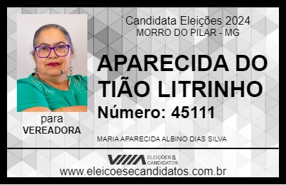 Candidato APARECIDA DO TIÃO LITRINHO 2024 - MORRO DO PILAR - Eleições